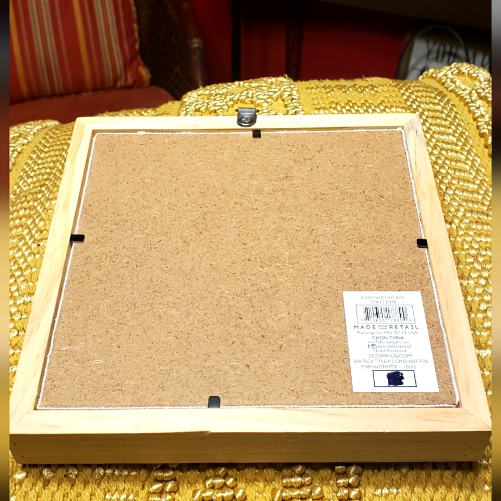Plant Shadow Box - Picture 10 of 10